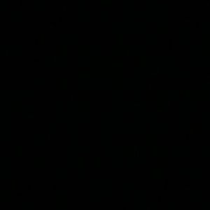 Meet your Posher, Minu